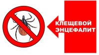 Клещевой энцефалит и меры его профилактики